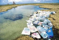 /album/fotogaleria-galeria/fotos-prezi-comprimidas-34-jpg1/